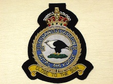 250 Squadron KC RAF wire blazer badge - Click Image to Close